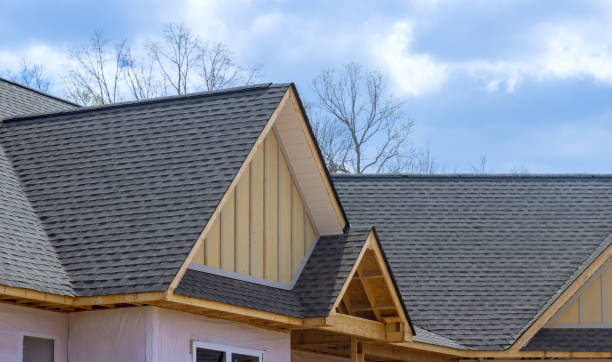Best Sheet Metal Roofing  in Manatee Road, FL